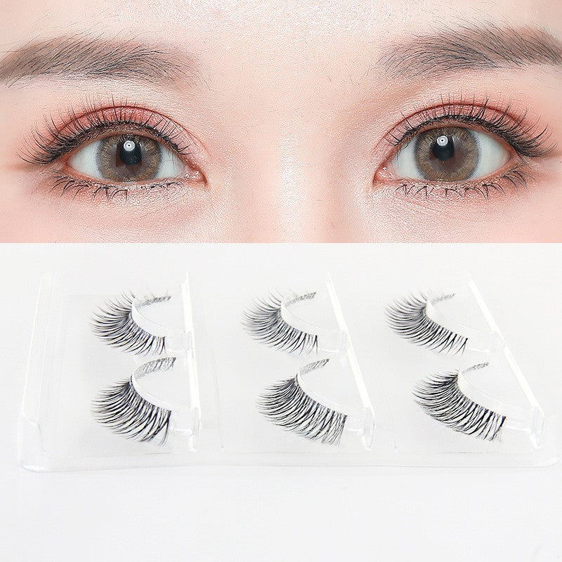 Natural Daily False Eyelashes – Lightweight & Reusable