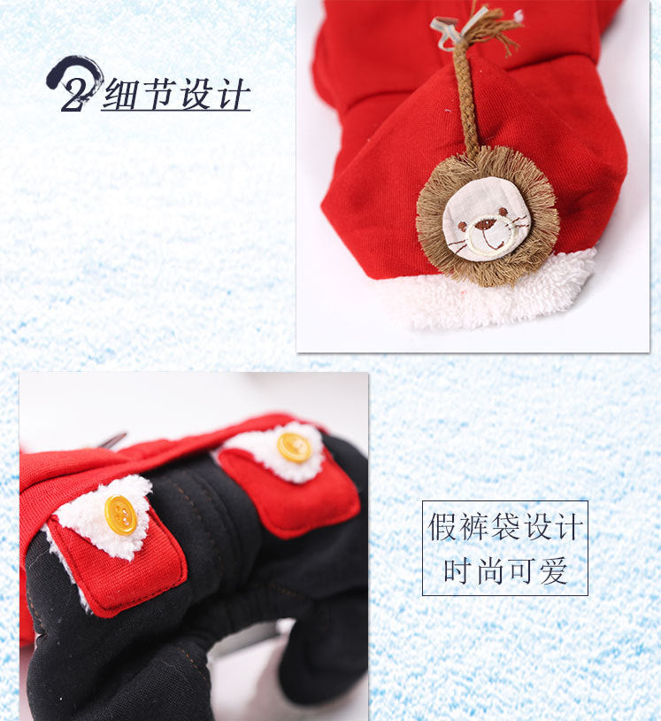 Pet Costumes For Fun