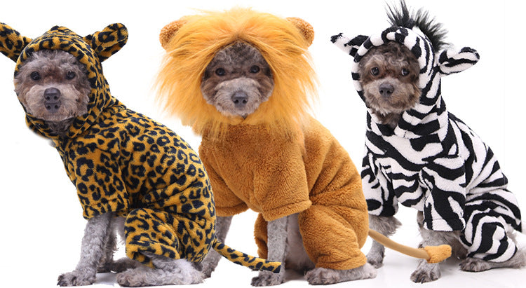 Pet Costumes For Fun