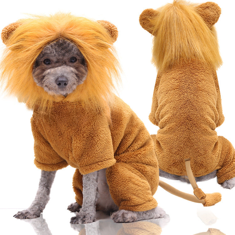 Pet Costumes For Fun