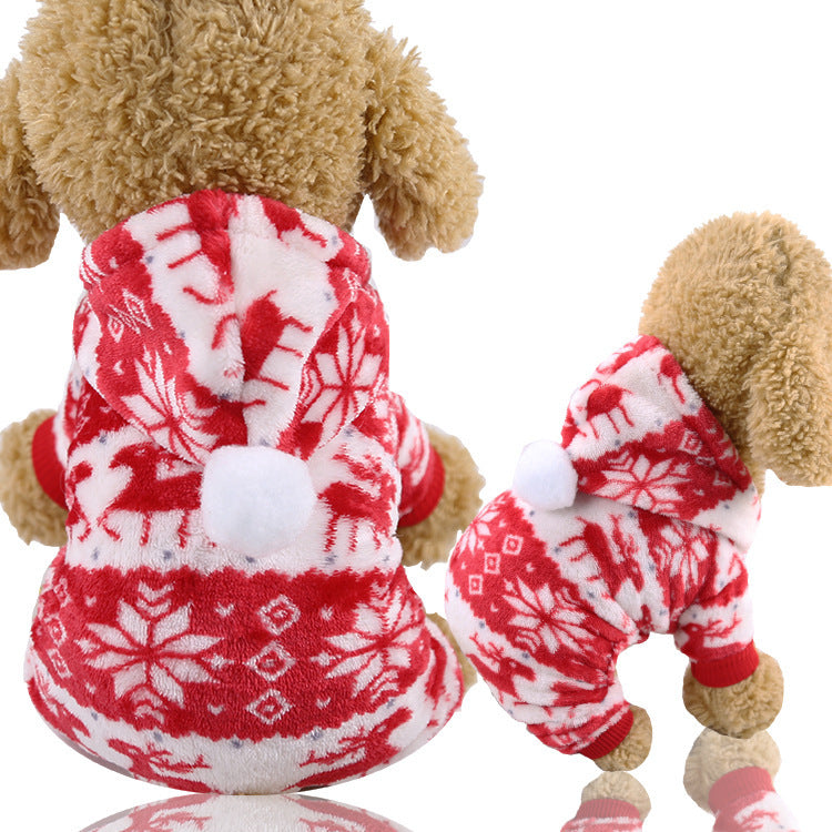 Pet Costumes For Fun