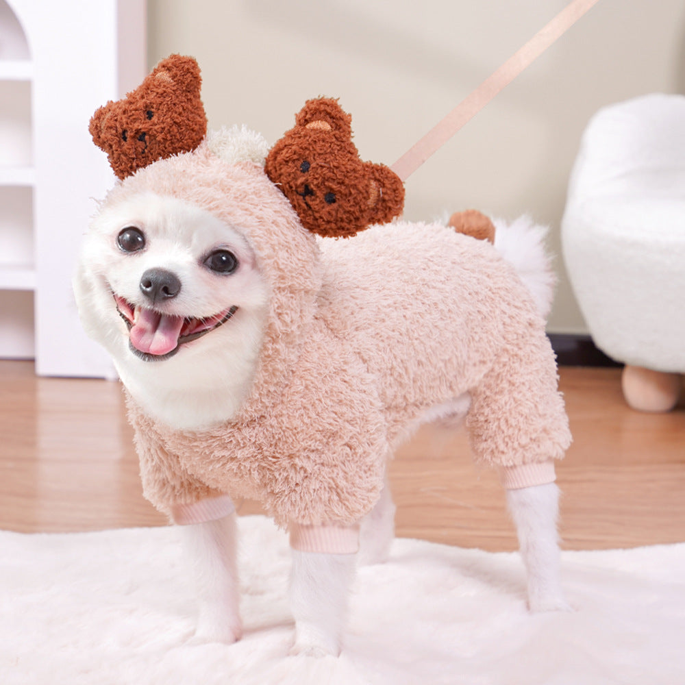 Pet Costumes For Fun
