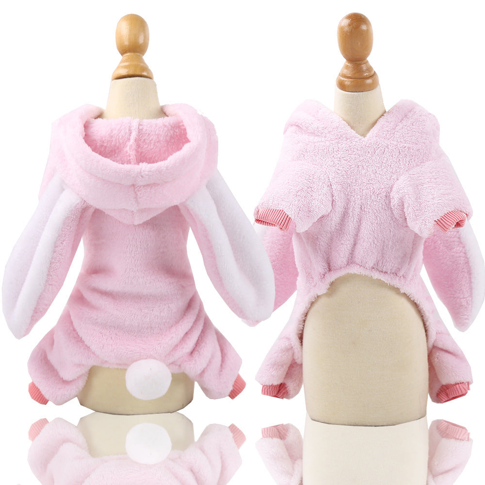 Pet Costumes For Fun