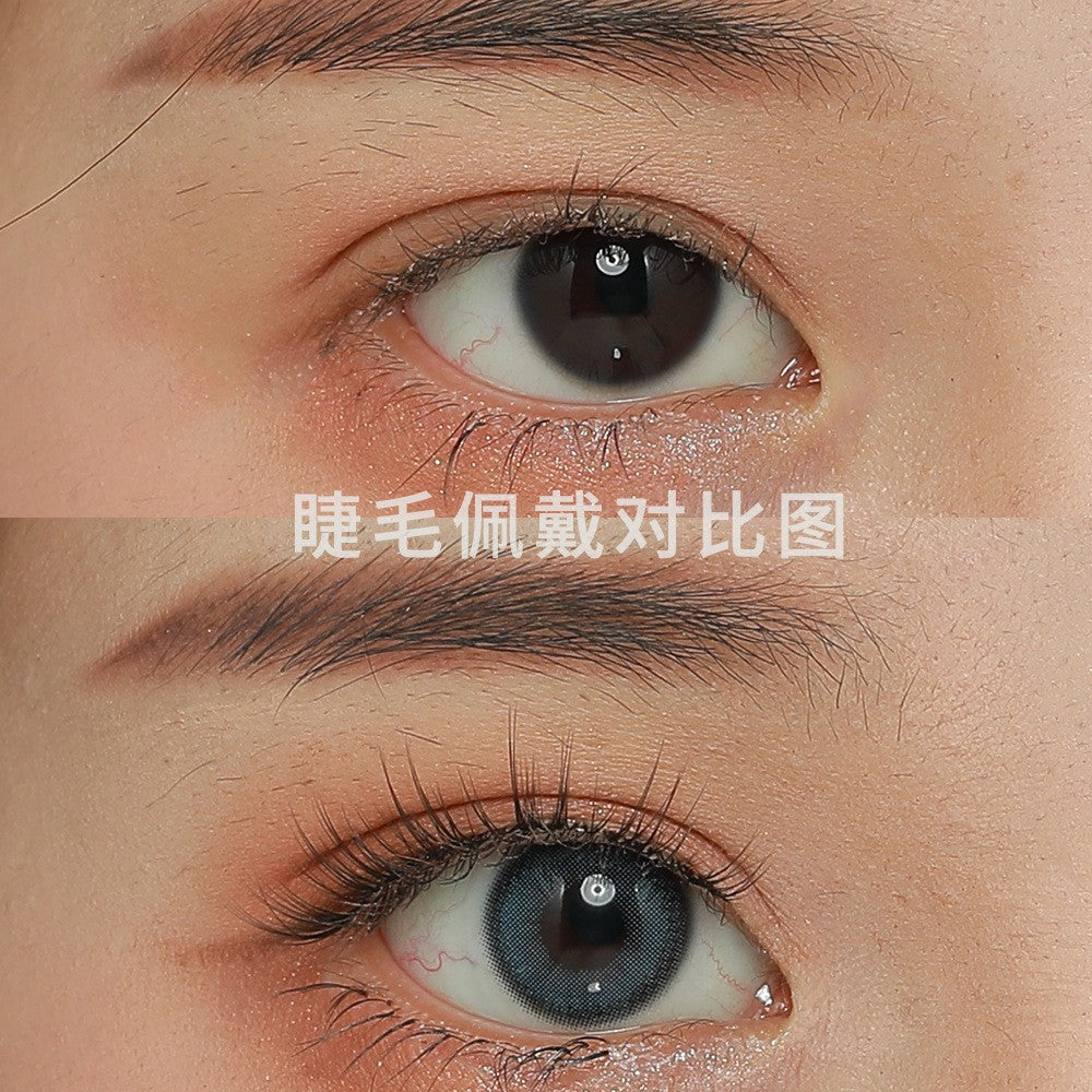 Natural Daily False Eyelashes – Lightweight & Reusable