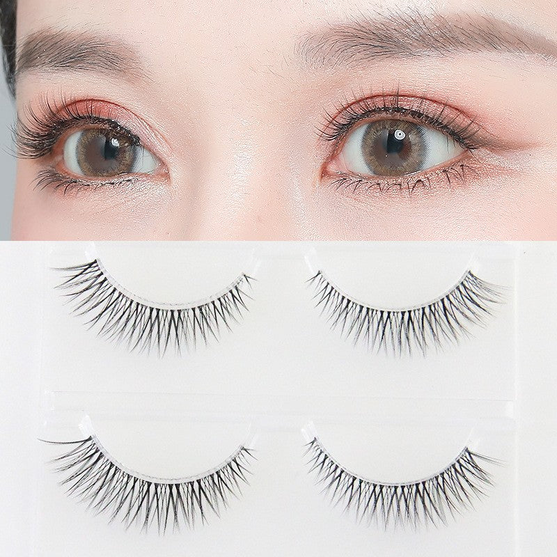 Natural Daily False Eyelashes – Lightweight & Reusable